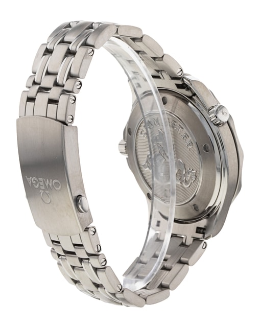 Omega Seamaster 300m 212.30.41.20.03.001 Image 3